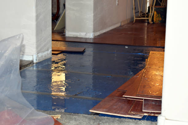 Professional Flood Damage Repair technician working in Palo, MI